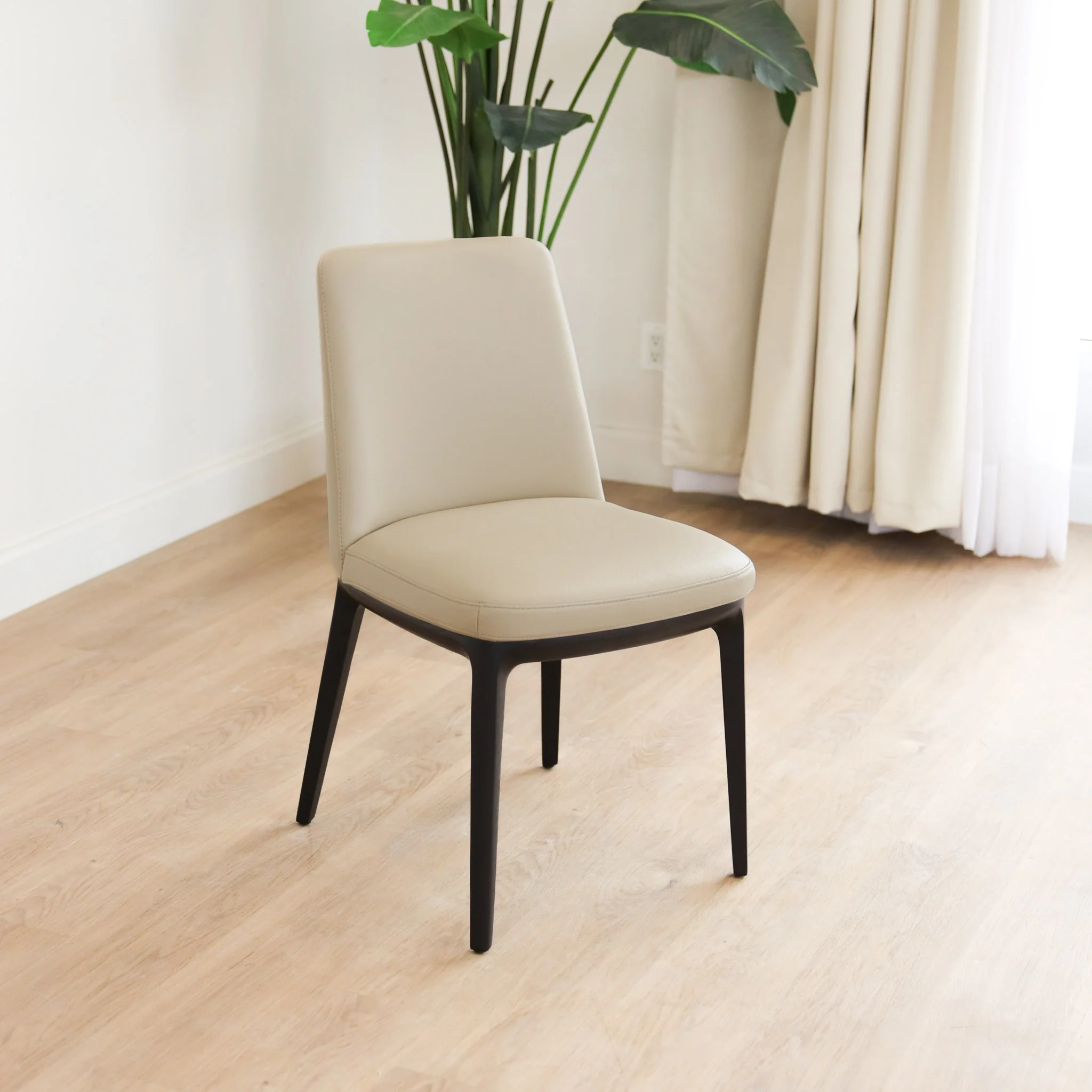 Collections spéciales